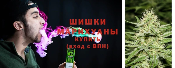 индика Навашино