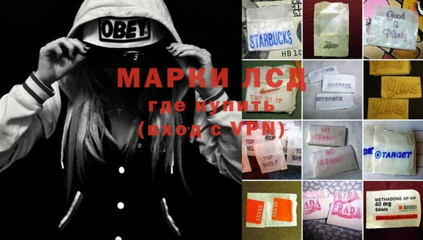 индика Навашино