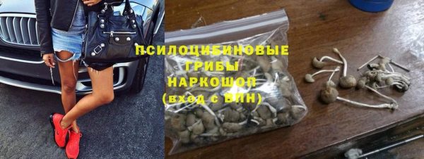 винт Наволоки