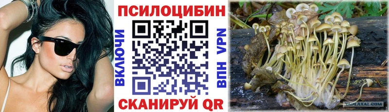 omg ссылка  Новое Девяткино  Галлюциногенные грибы прущие грибы 